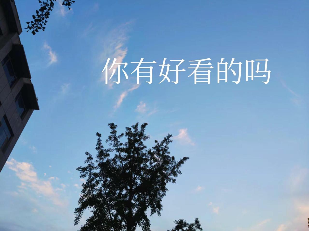 风景优美空气清新 蓝天白云晴空万里 云摄影