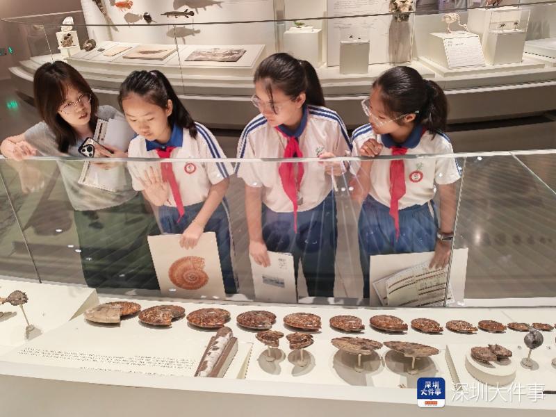 把课堂“搬”进博物馆 坪山二小开展深圳自然博物馆主题研学