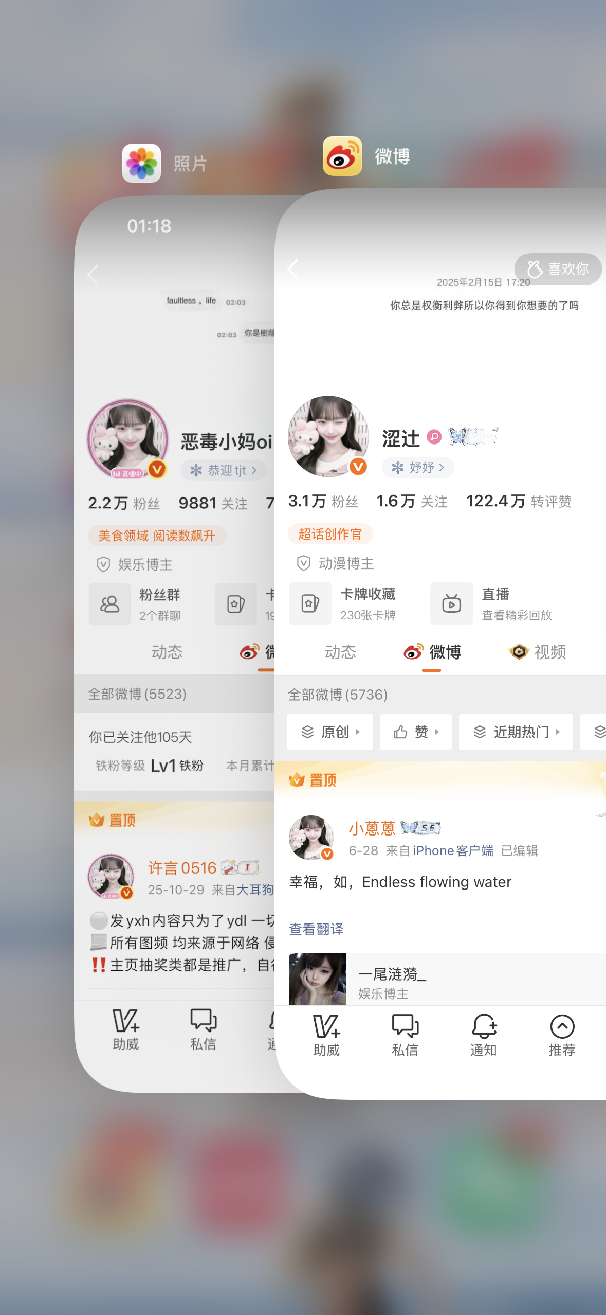许言。小乐乐。