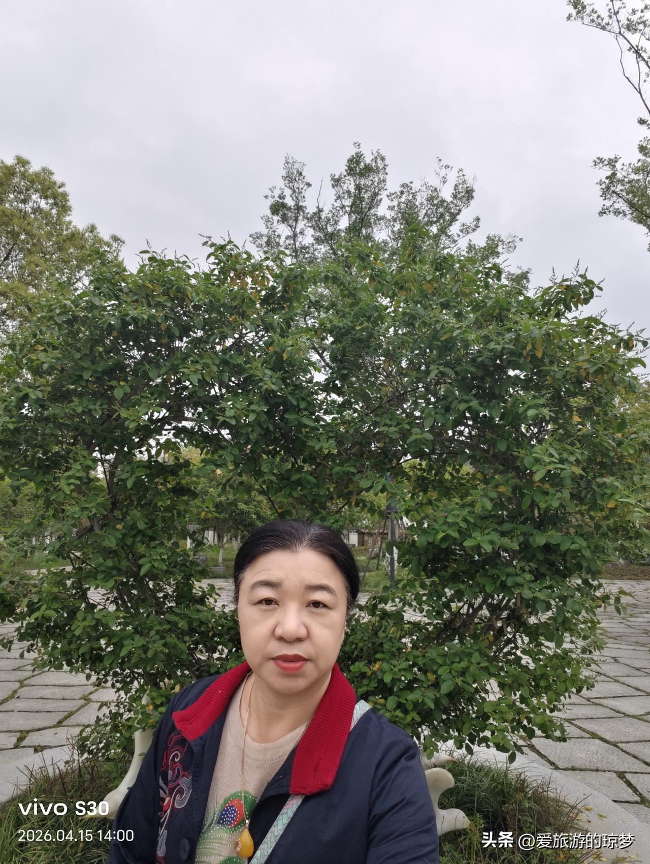 生活趣事分享