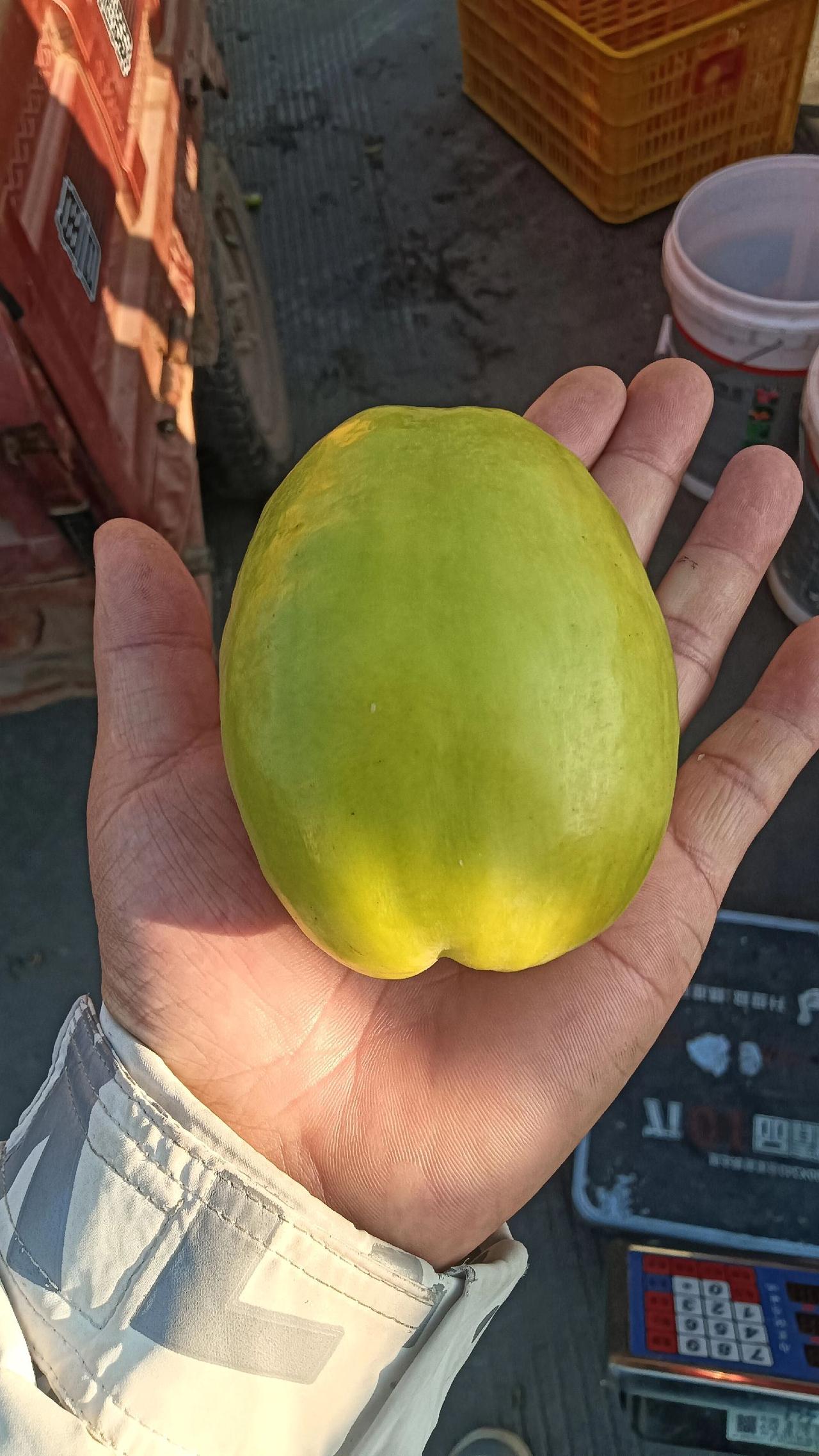 ai抖音视频创作