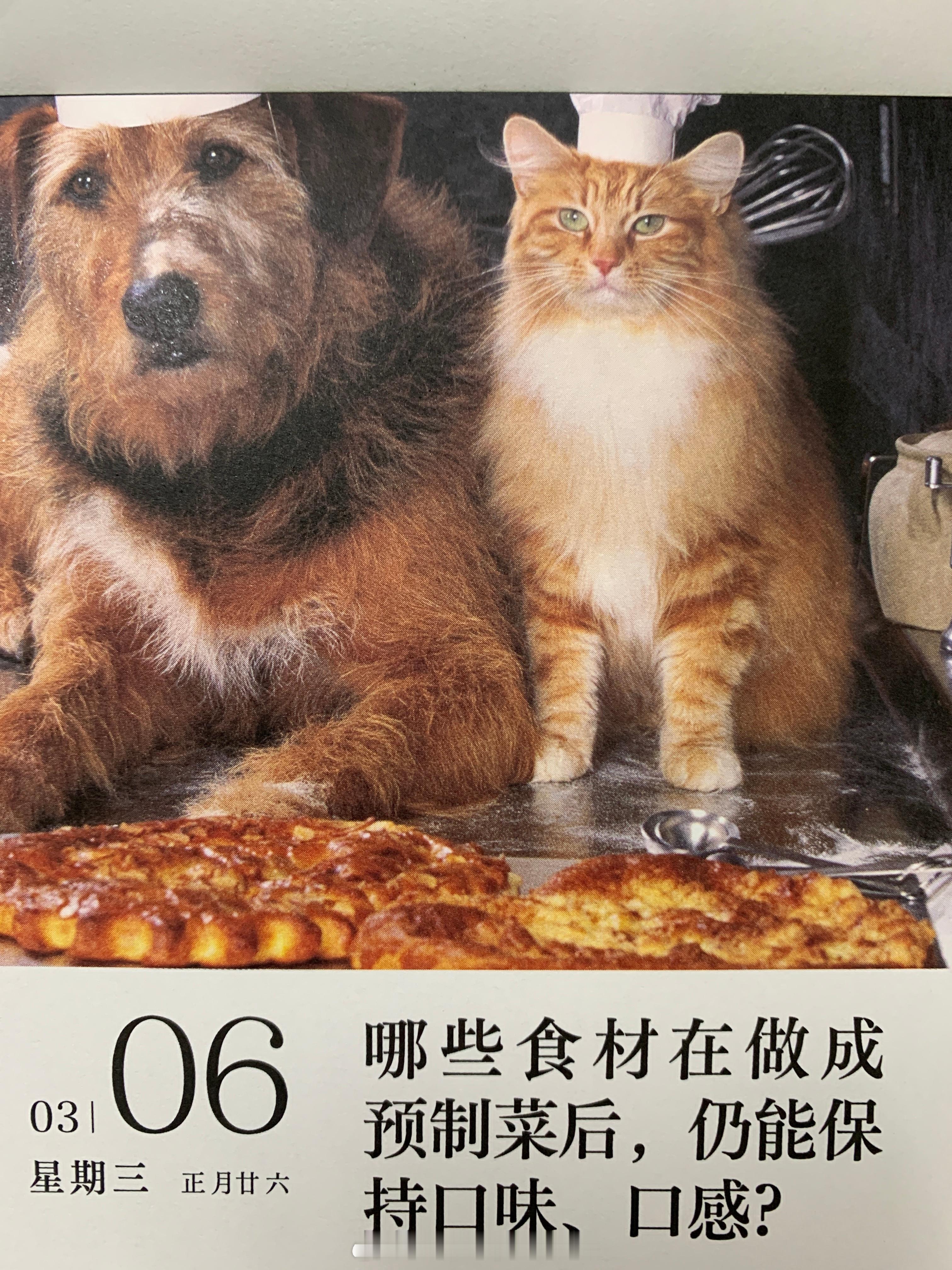 朋友们早～图上这个问题，你知道答案吗？ ​​​