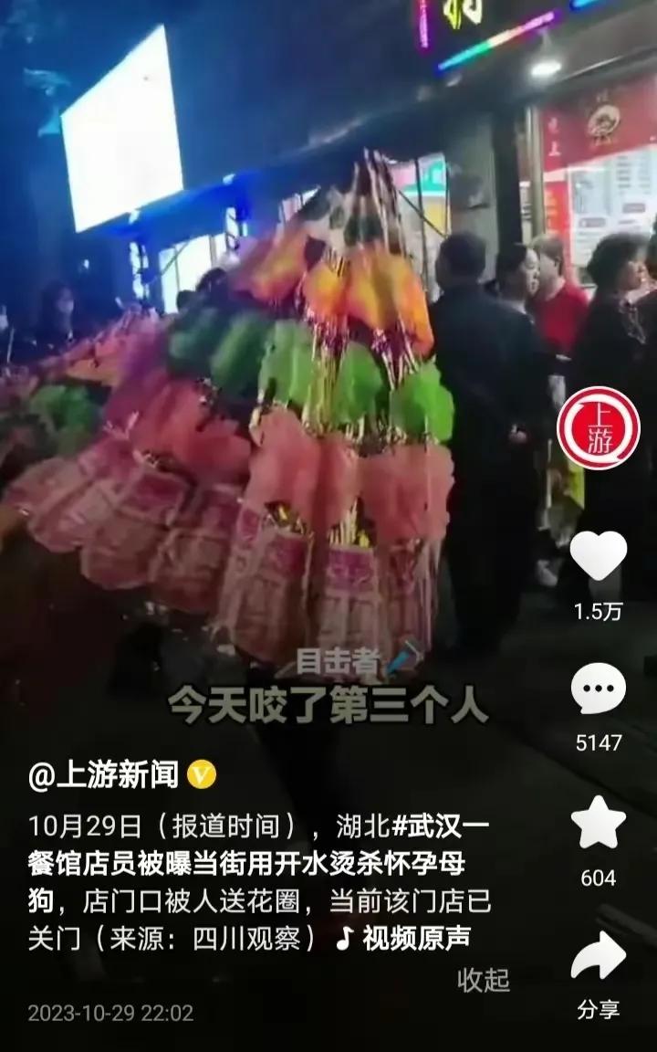 武汉虐狗事件闹的沸沸扬扬，我对虐狗是没什么好感的，这应该算犯罪行为，希望国家出台