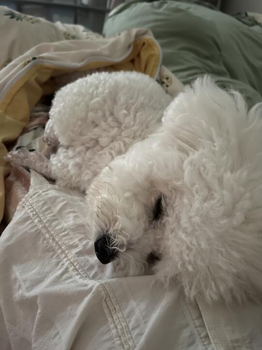 吐了两天的宝宝[哭惹R]什么时候才能好啊