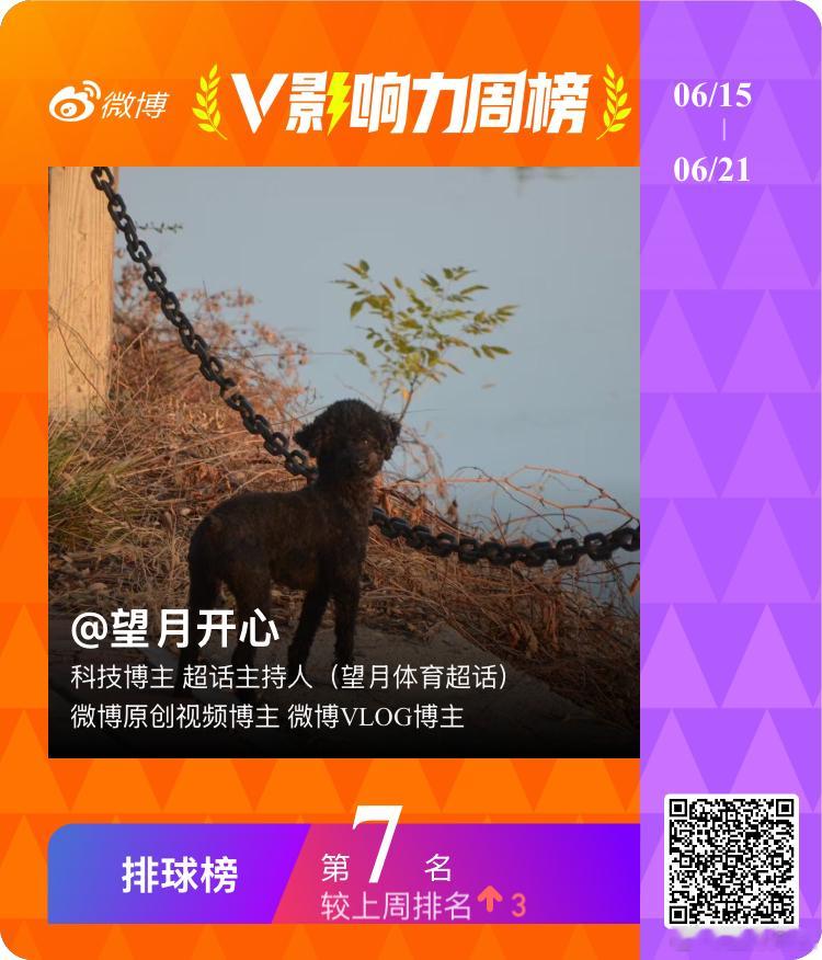 望月体育v影响力榜 聊城