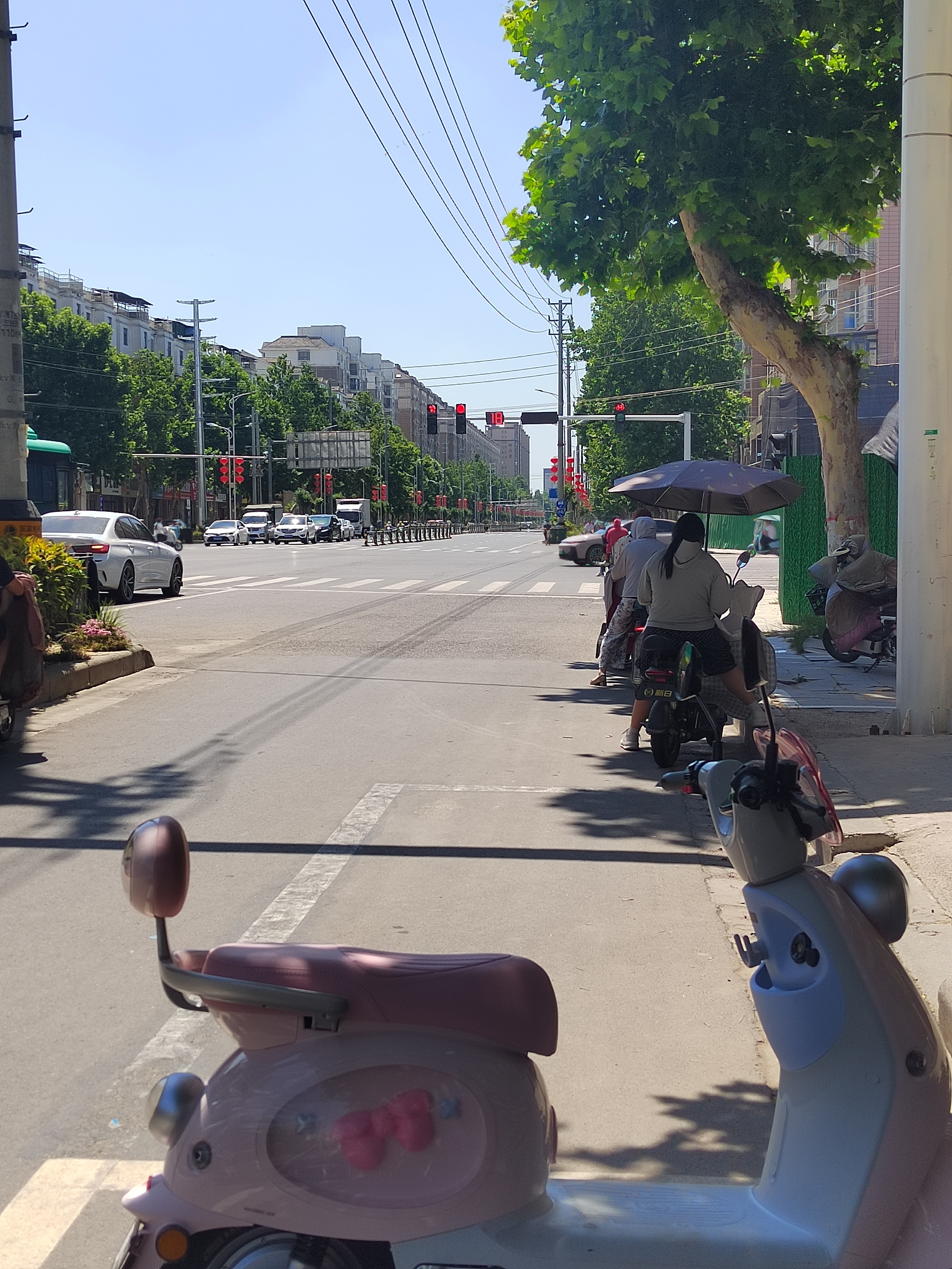 正午时分又顶着这么大大大大的太阳等红灯可真是煎熬还好这个路边有树大老远的瞄个树荫