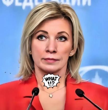 让俄罗斯的媒体说中了，如果哪个国家一再退让，得到的不是和平，而是更多的欺凌，有些