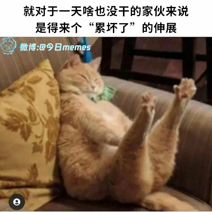 就配（9gag）今日meme[超话] 今日memes ​​​