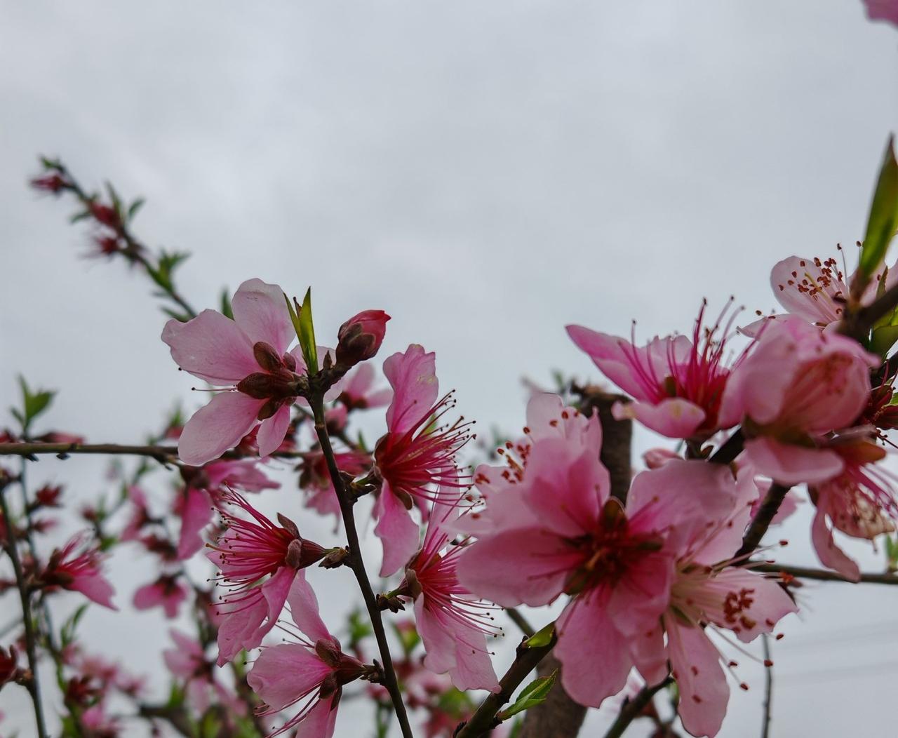 我觉得人与人之间相处就应该注意好分寸，这不光是指和外人之间，哪怕是亲兄弟、好闺蜜