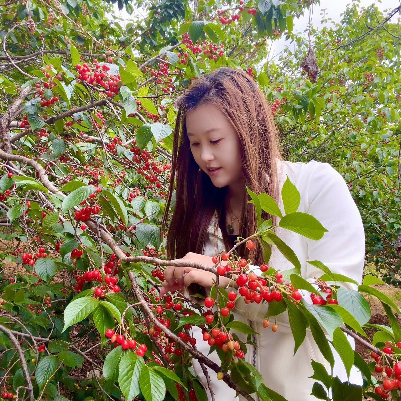 老婆三天没吃饭了，就那么直挺挺地躺在床上，像个拔了管的活死人。
因为我们的亲儿子