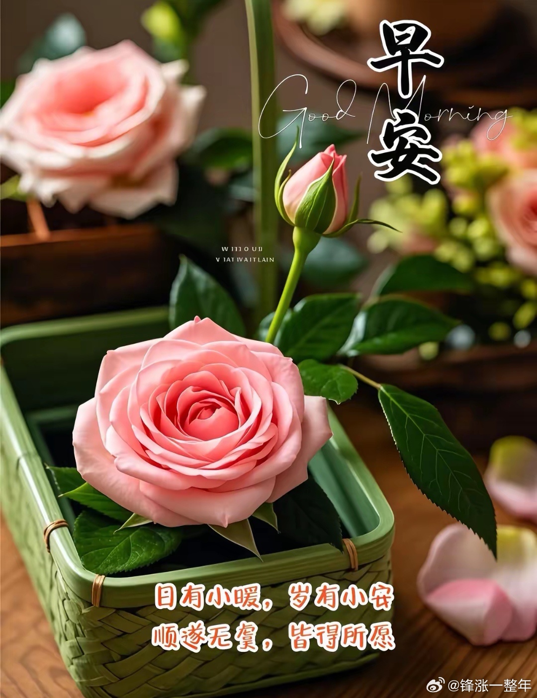 早上好[鲜花][666] ​​​