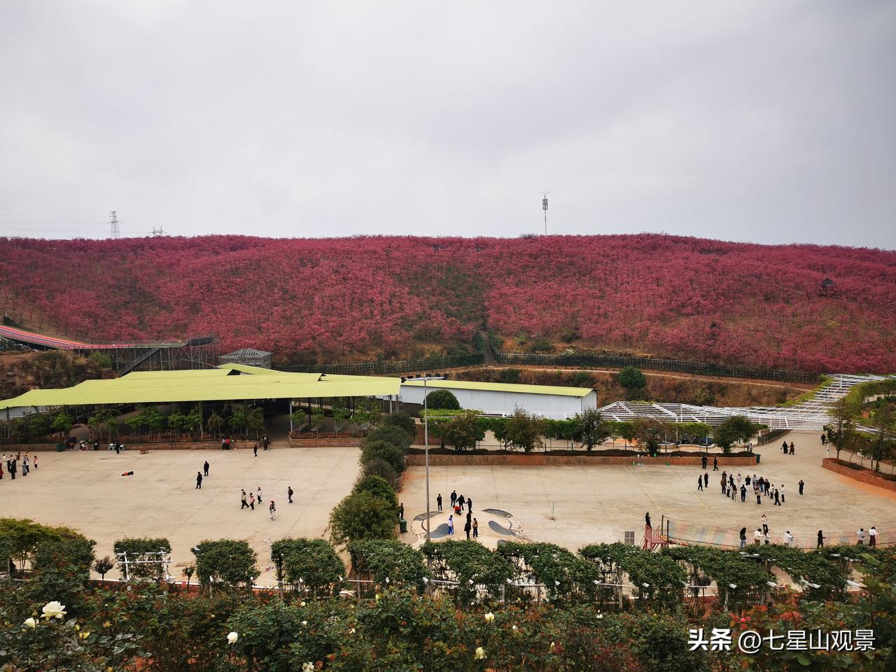治愈系风景分享