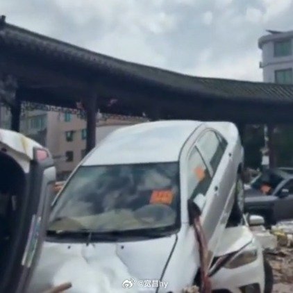 直击中国白茶第一镇灾后现场预防保平安  ​​​