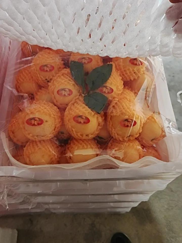 今日A股市场大概率将延续结构性分化行情，在外部不确定性犹存的背景下，以银行、电力