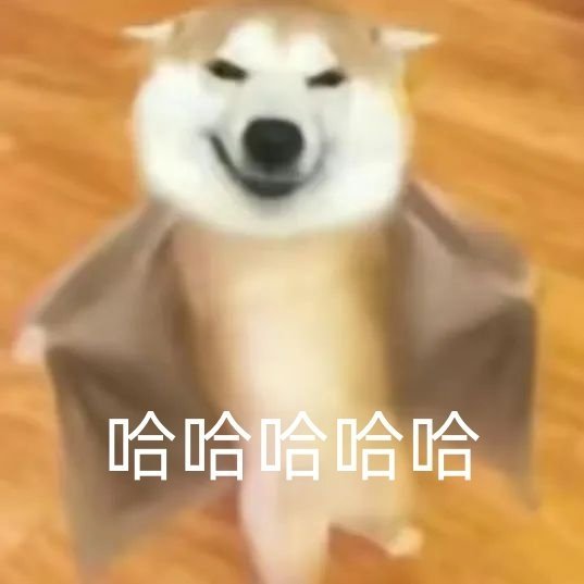 反正我笑了，不知道你们笑了没有[doge] ​​​