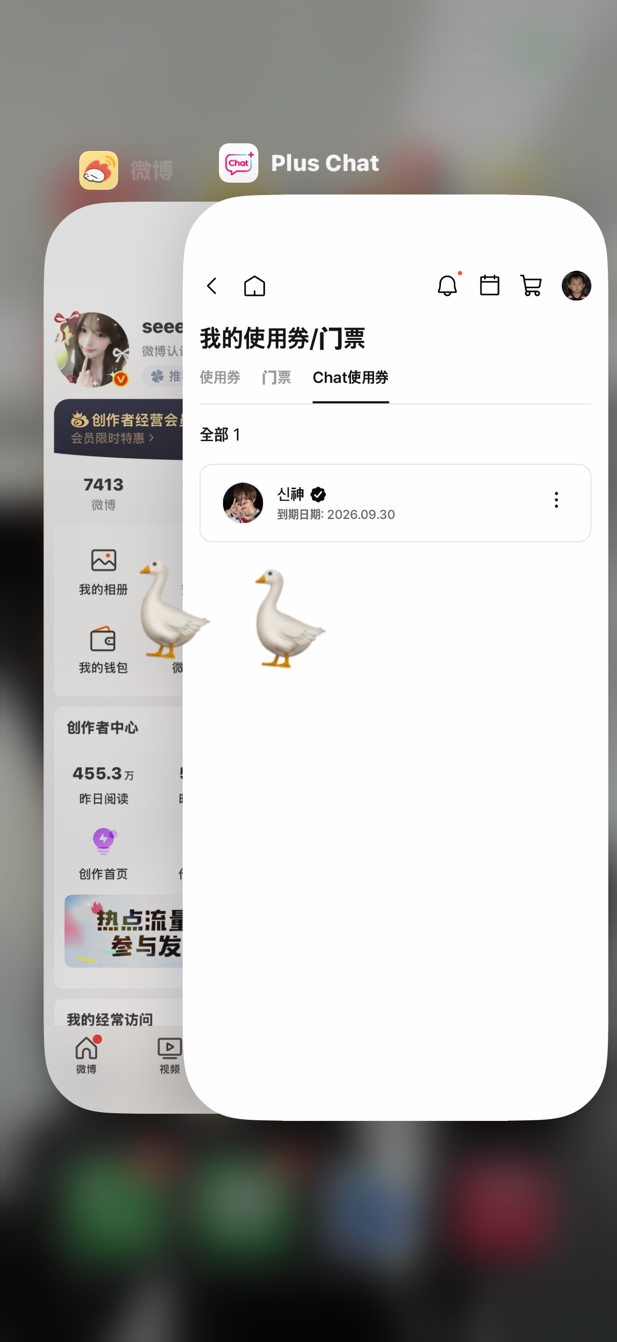pc审核9️⃣🈷️​​​