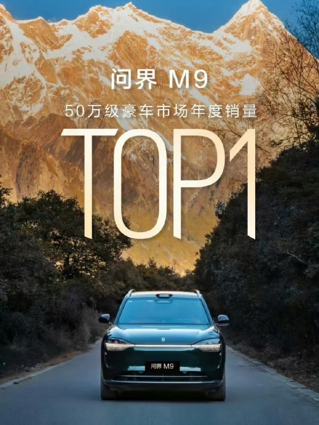 登上山顶了，下一步呢？