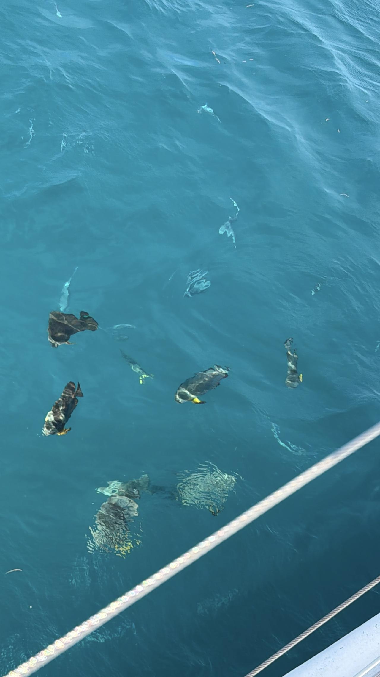 很多人以为，感情失败是因为遇人不淑。 但其实真正的问题是：你从来没有认真研究过自