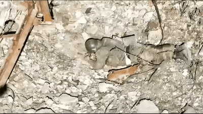 悲壮！这位俄军士兵才是硬汉子！

一位俄罗斯士兵在战场受了重伤，很不幸他不能行走