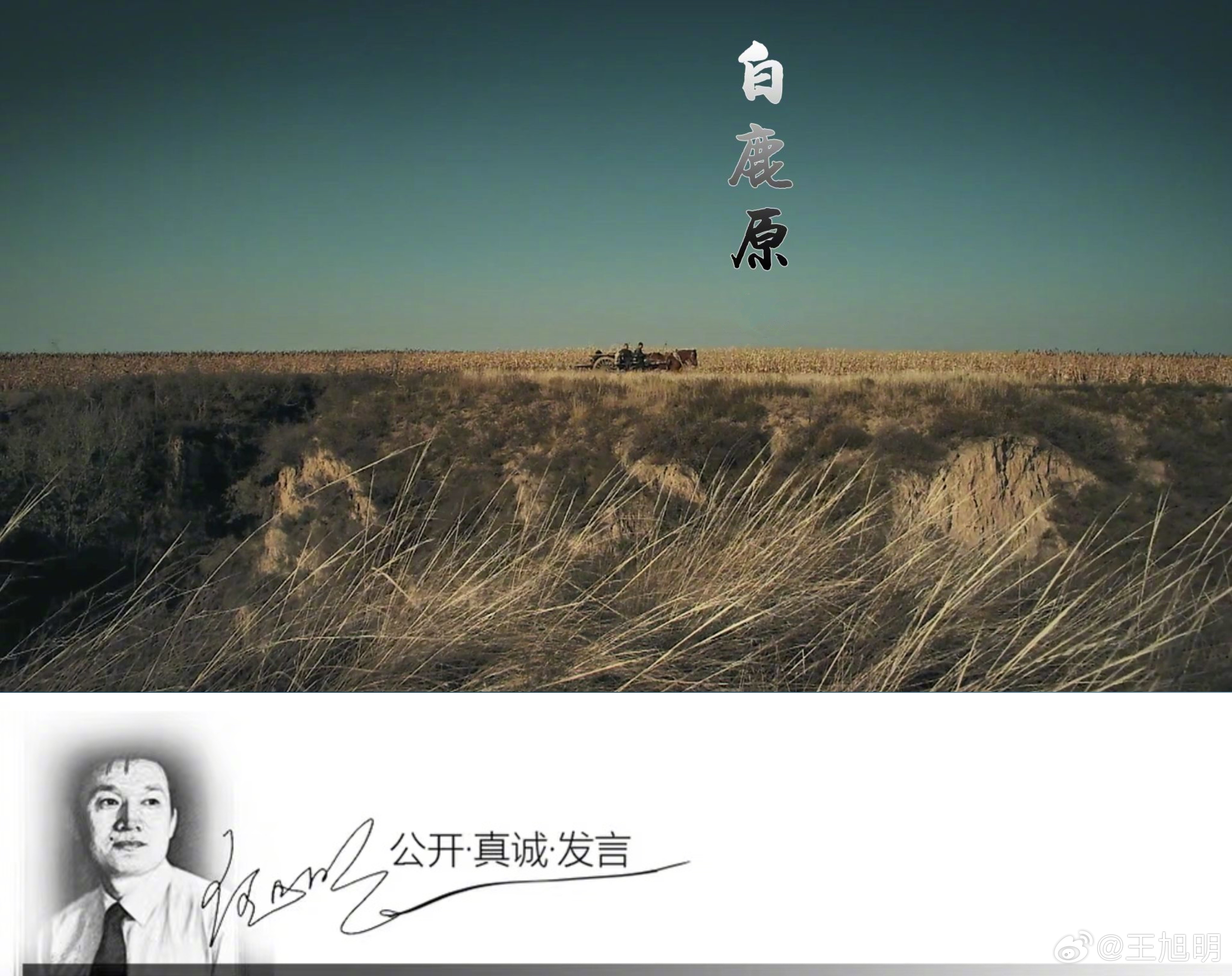 #明说真教育#一位剧评家说，莎士比亚用了25年写了38部作品，易卜生用了50年才