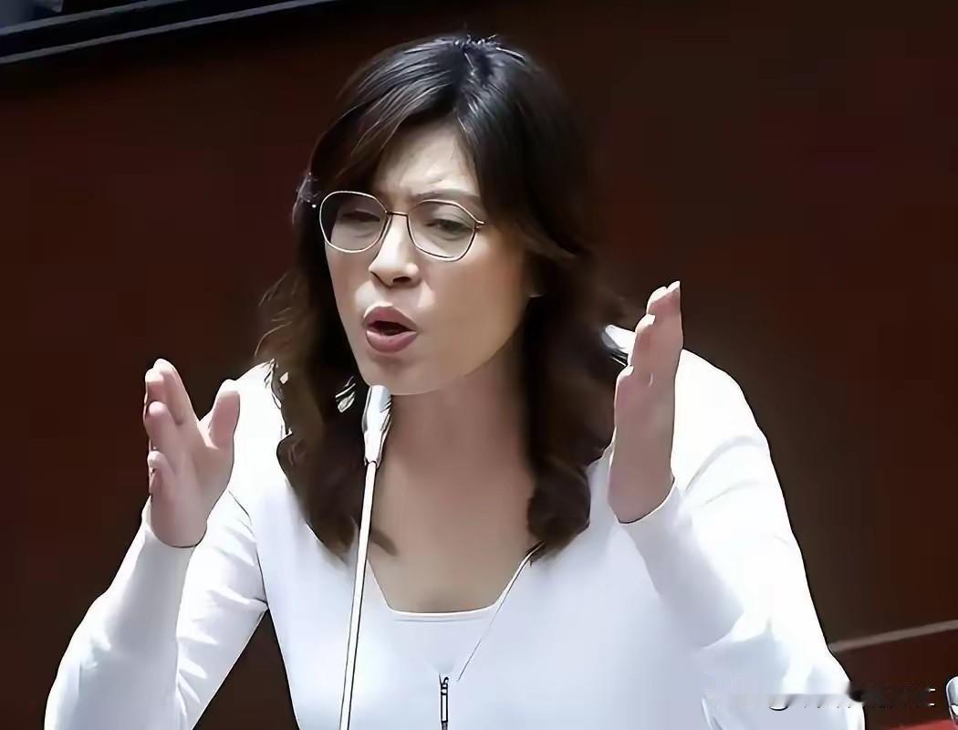 刚刷到个新闻，挺荒诞的。

5月17日国民党开记者会，直接把遮羞布扯了。特朗普明