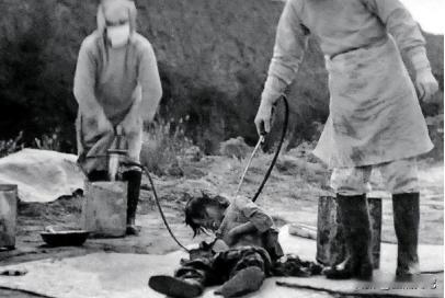 比731还要可恶！516部队，一个注定不能被中国人遗忘的部队，哪怕它比起731这