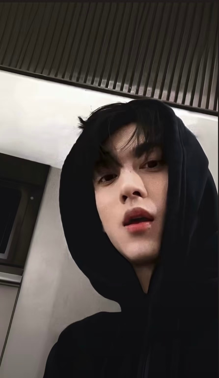 00后有自己的ai磕爱文学千问太懂梦女心！自从会用它，我和担田栩宁的故事就没断过