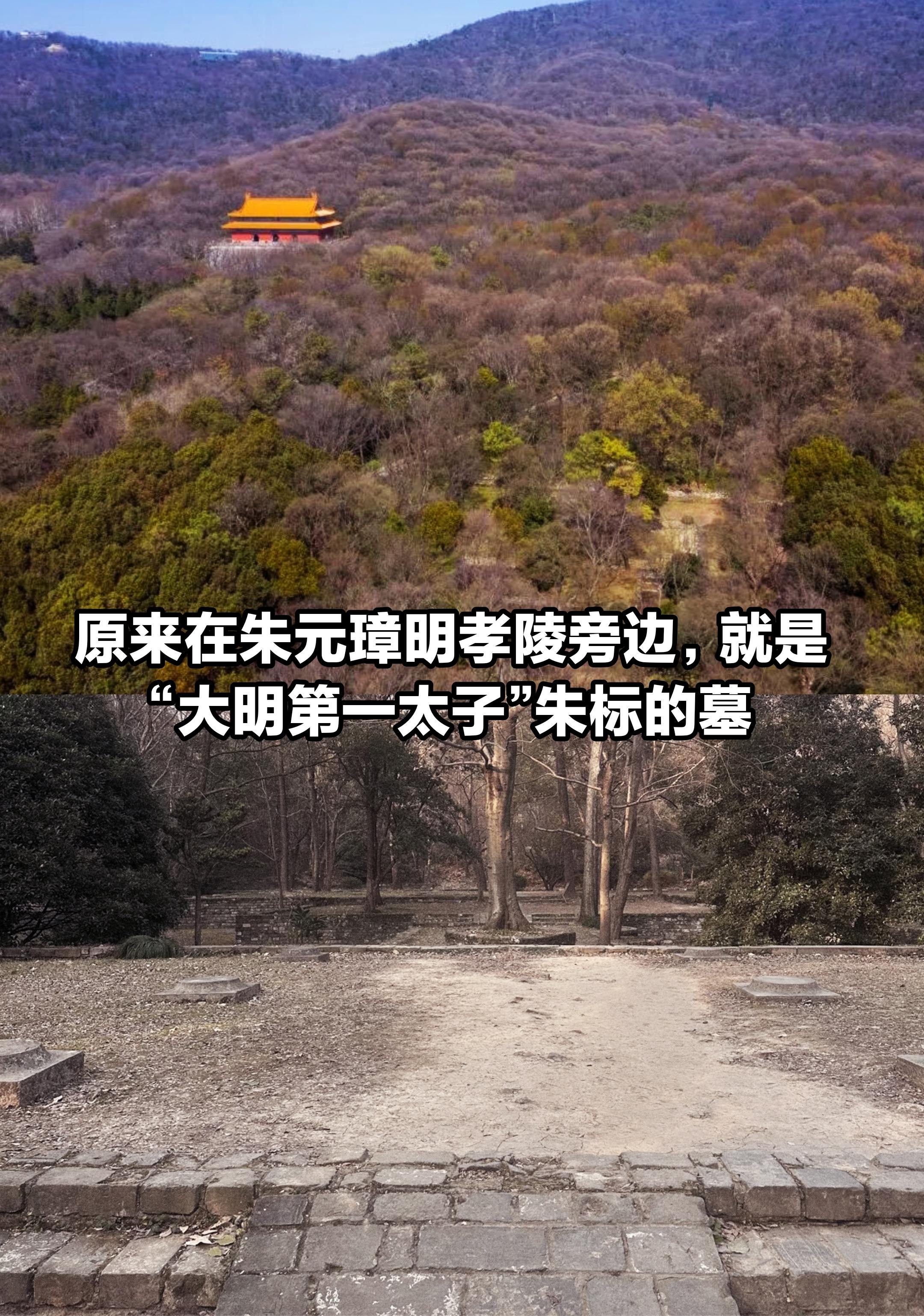 原来朱标一直陪伴在朱元璋的身边！明东陵。