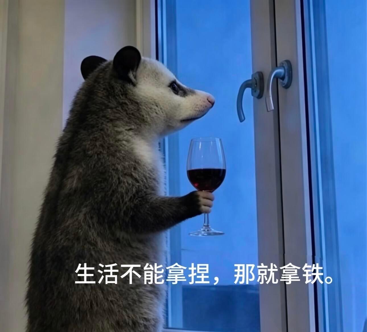 戒掉咖啡后我的身体变化失去咖啡整个人都懵的 