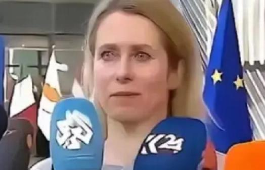 欧盟的官宣再次震惊了全世界：从今年开始，一切与中国有关的科研机构，都将没有资格参