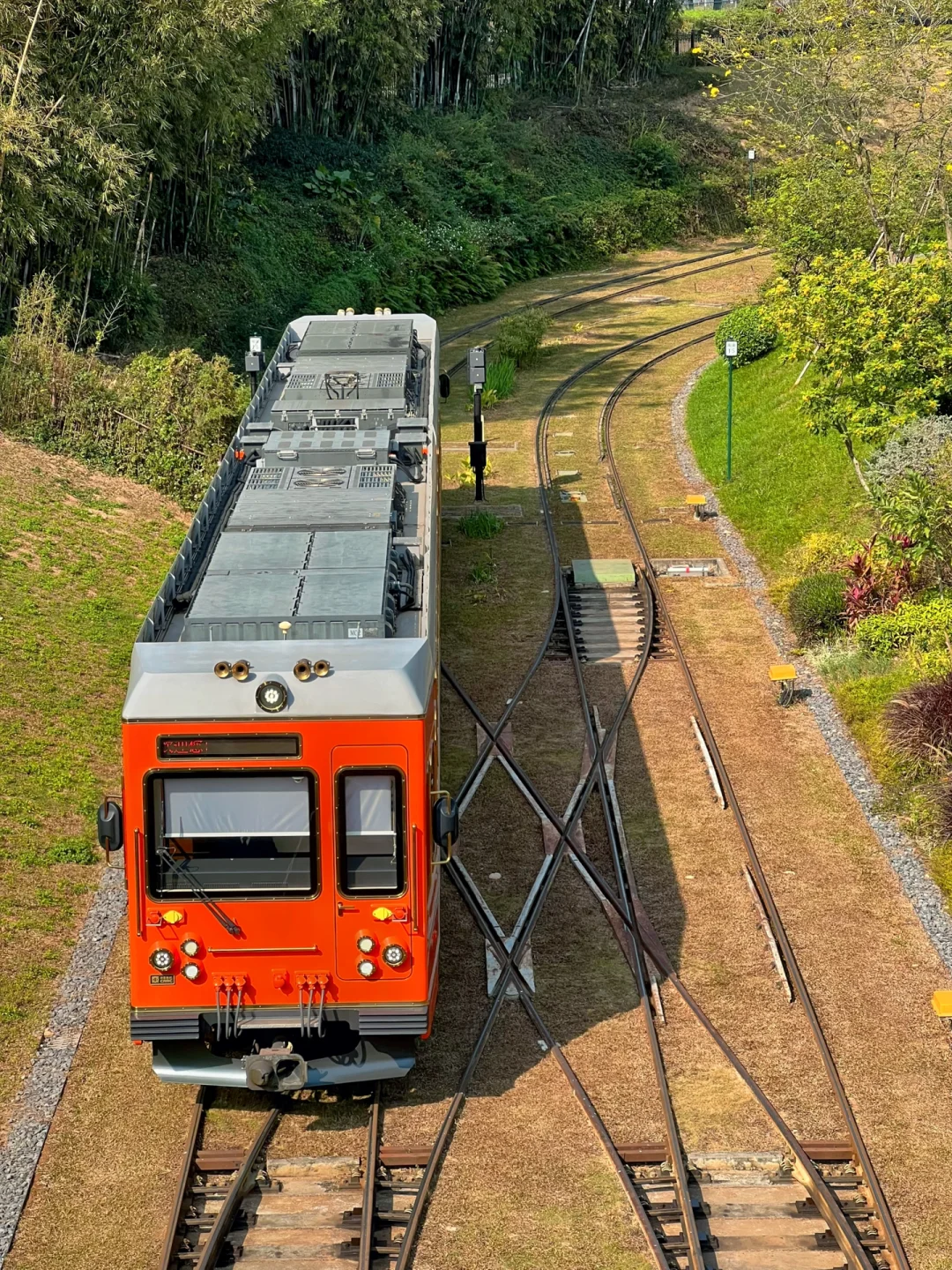 松山湖丨踏青🍃