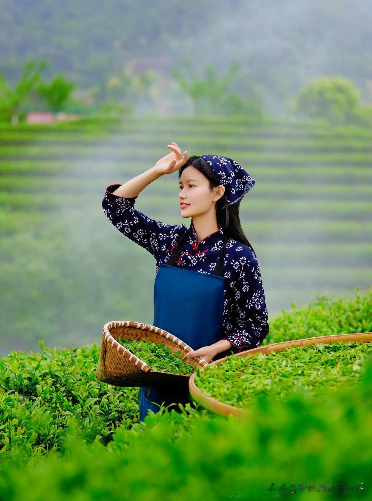 上联：柳昏花暝江南景
下联：有请雅士[玫瑰][玫瑰][玫瑰]