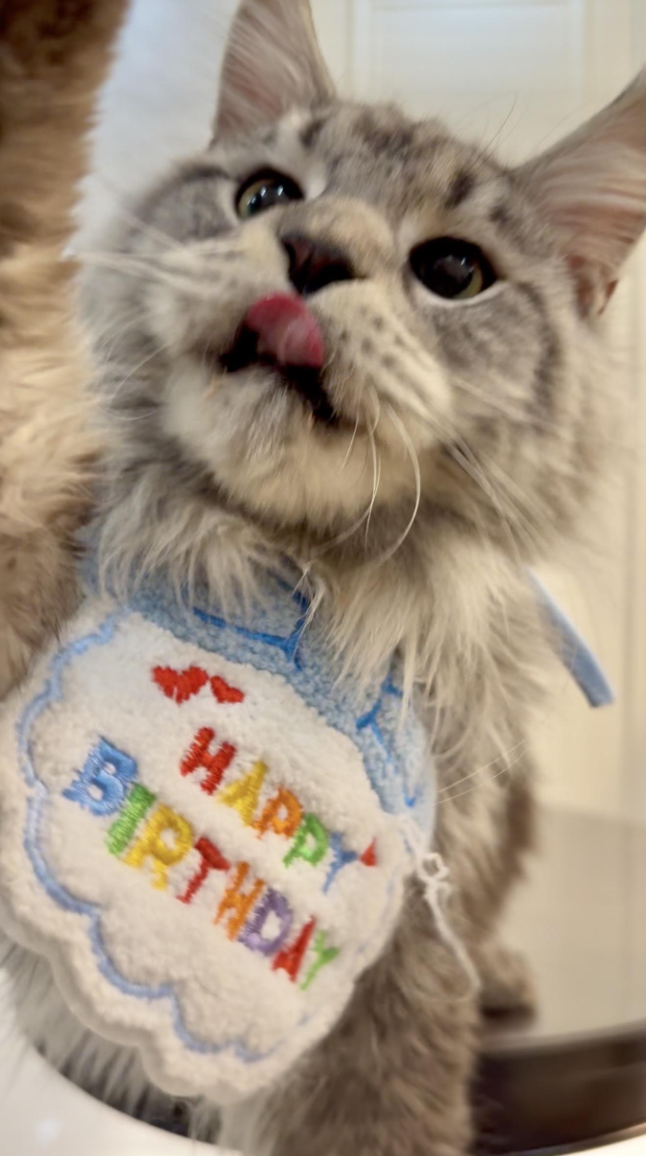 生日快乐，我的k.