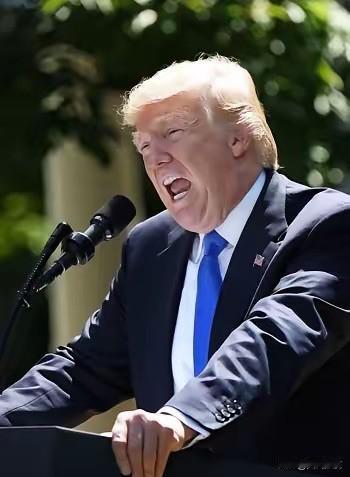 特朗普一而再再而三对中国主权横加干涉，严重阻碍祖国统一进程和中华民族伟大复兴。