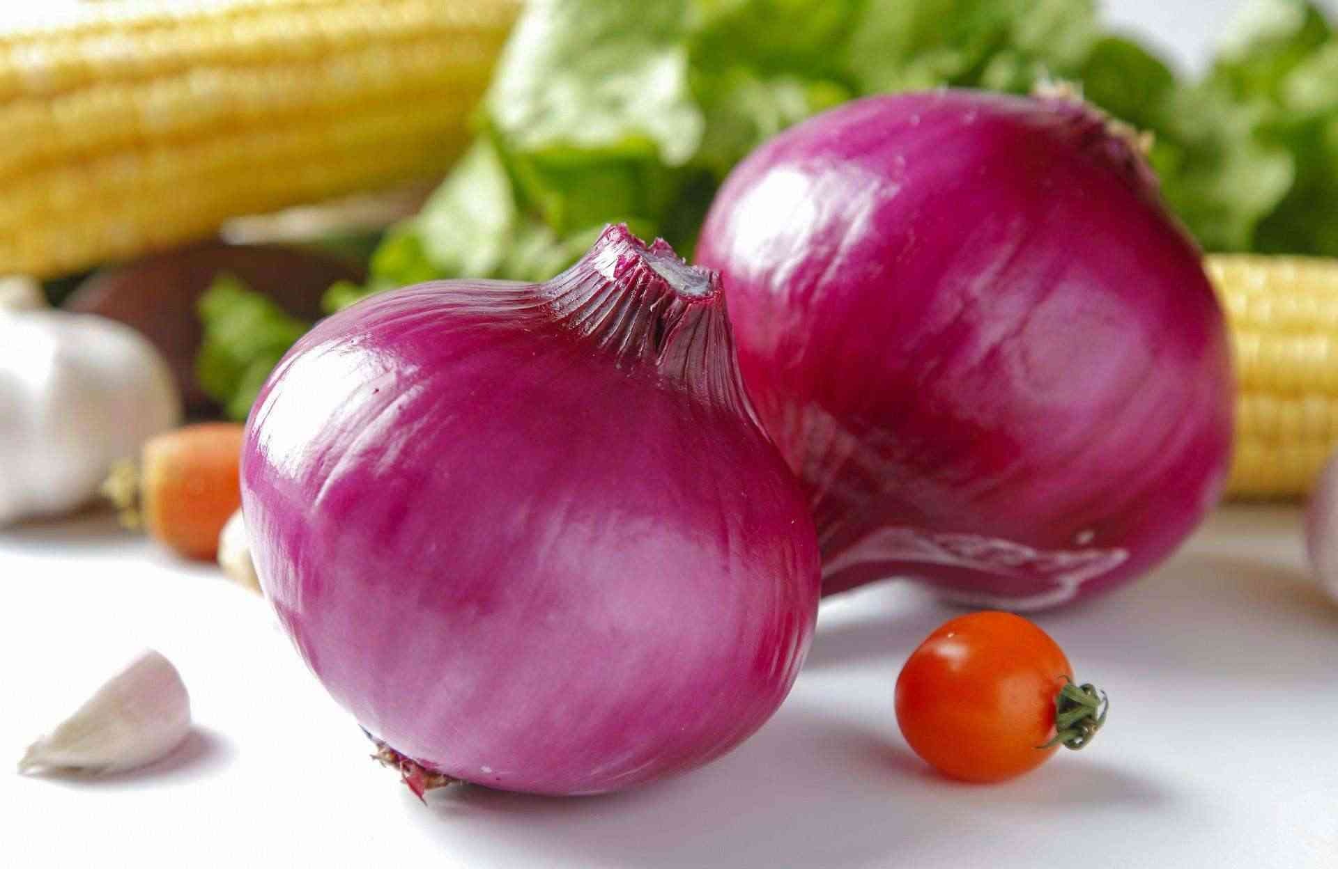 当年的“洋葱”，也是正宗的“进口货”…… ​​​