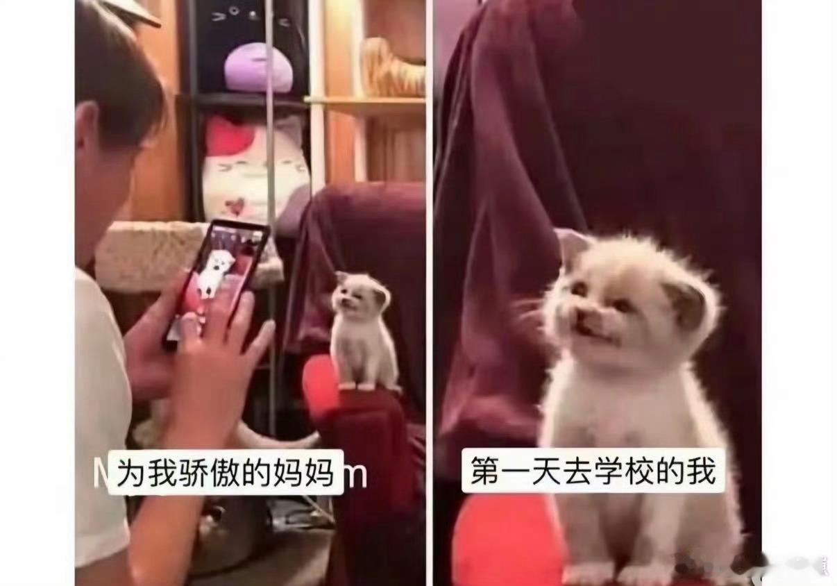 老一辈的优点我一点没遗传 电影《侵入》里妈妈把废品折成方块码好，女儿却让快递箱在