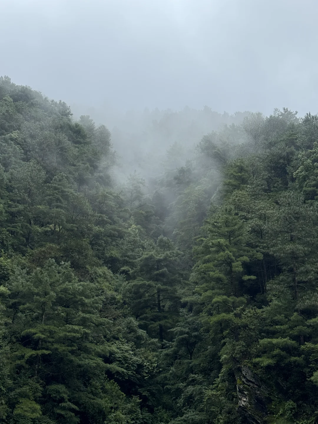 在苍山，我遇见6年前的自己（带徒步版）