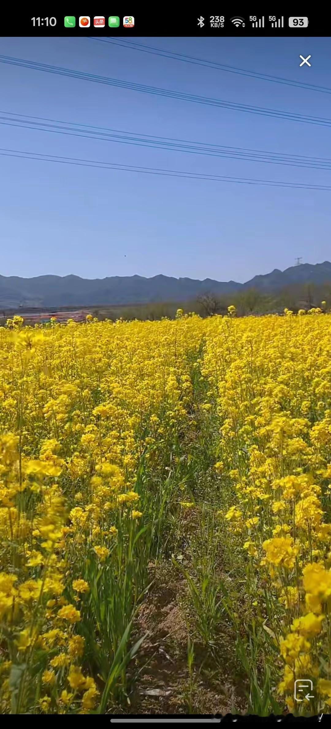 真正的高手，懂得空仓！

炒股不是比勤奋，谁在股市时间长、资格老、用功多就利润大
