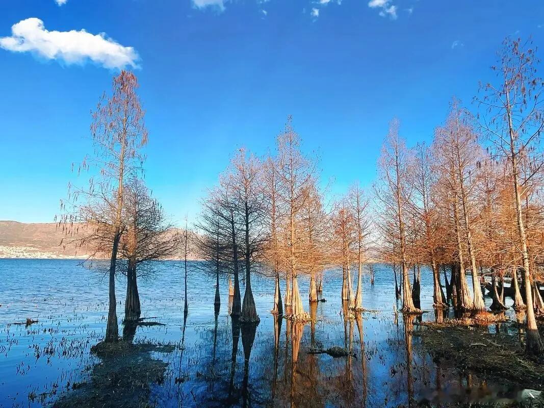 人生是伟大的，生命是高贵的。每个人的生命只属于自己，面对生活的困难和障碍，挫折，