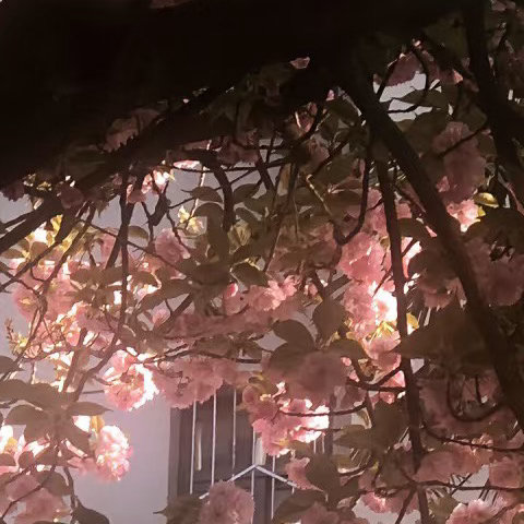 顺境时不妨看淡一点，逆境时不妨看开一点，坦然面对生活中的得失，就没有越不过的高山