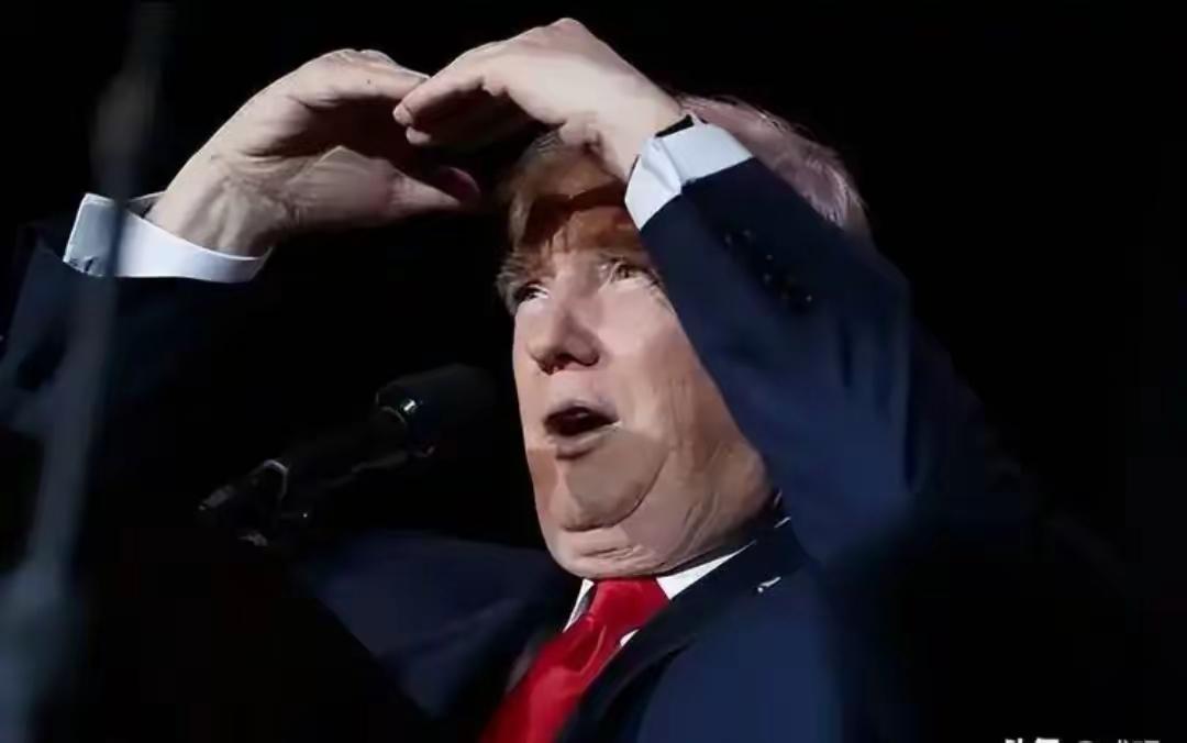 这个世界，谁又管得了特朗普和他的美国哪？以色列杀害了那么多巴勒斯坦人，谁又管得了