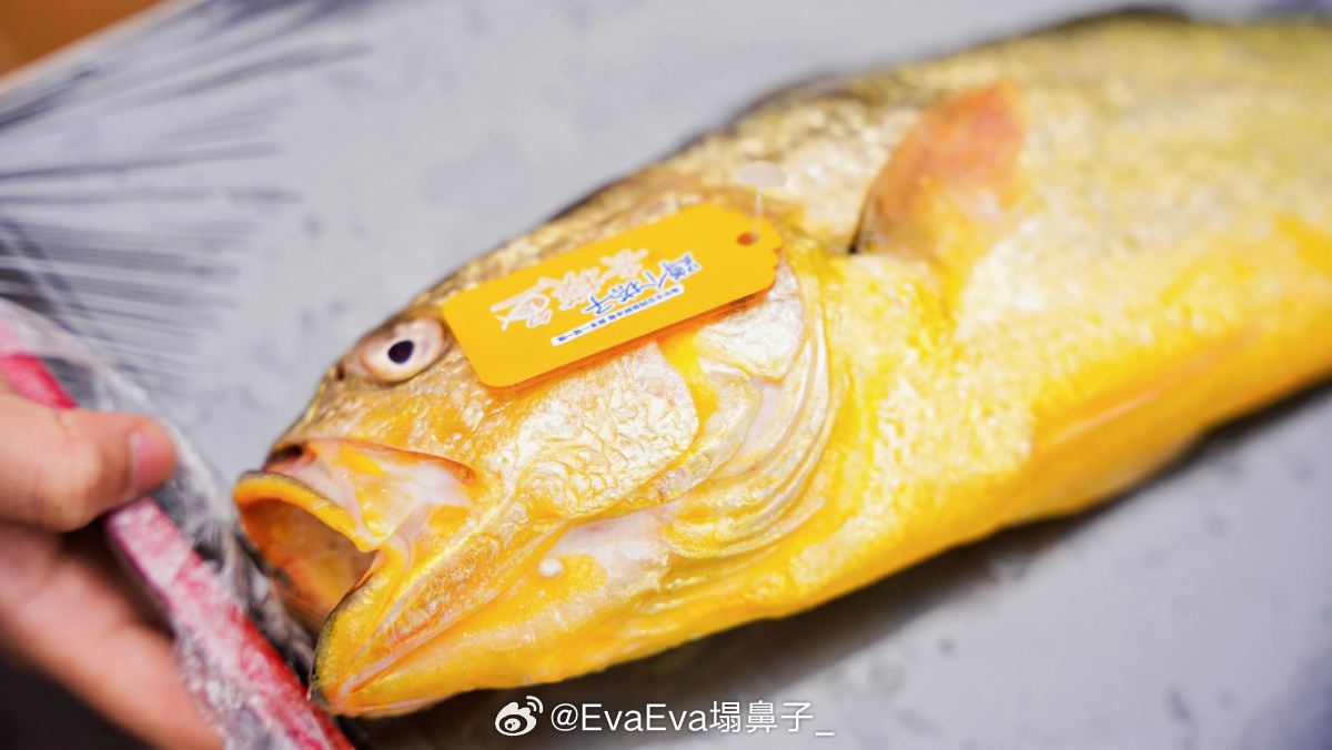 有没有人和我一样，常常觉得“练”是咬咬牙就可以完成的，但“吃”在繁忙的生活里就很