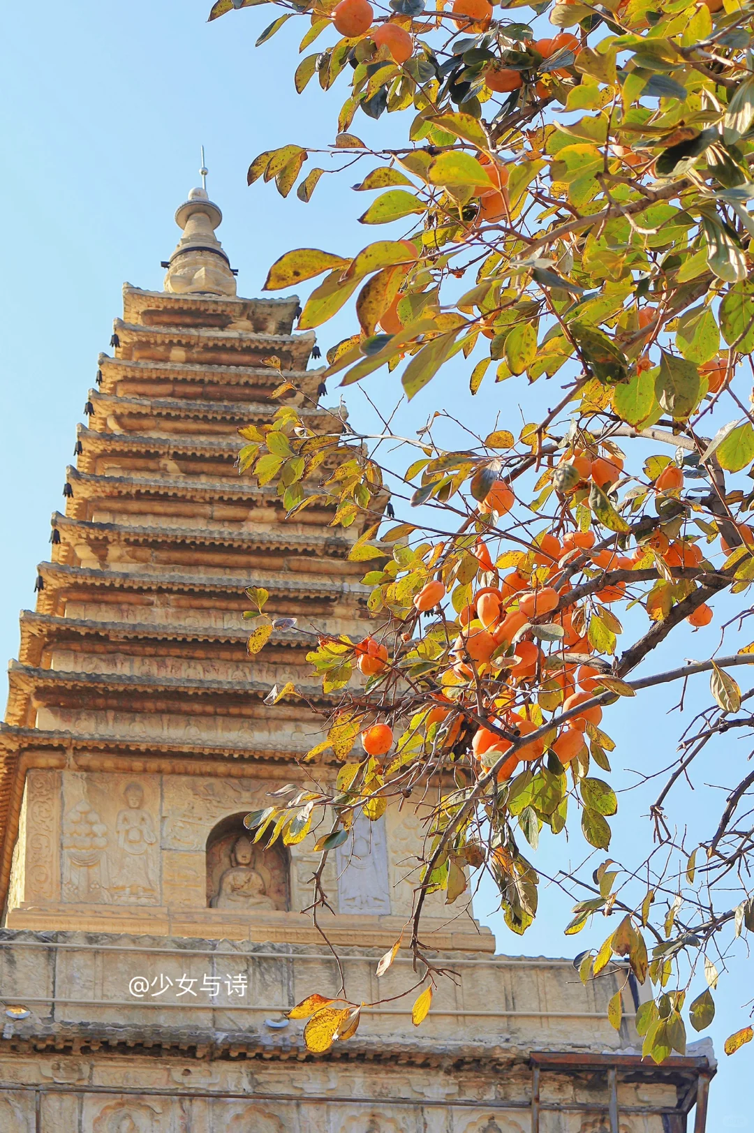 避雷老舍故居⚠️这里人少，柿子➕银杏随便拍❗
