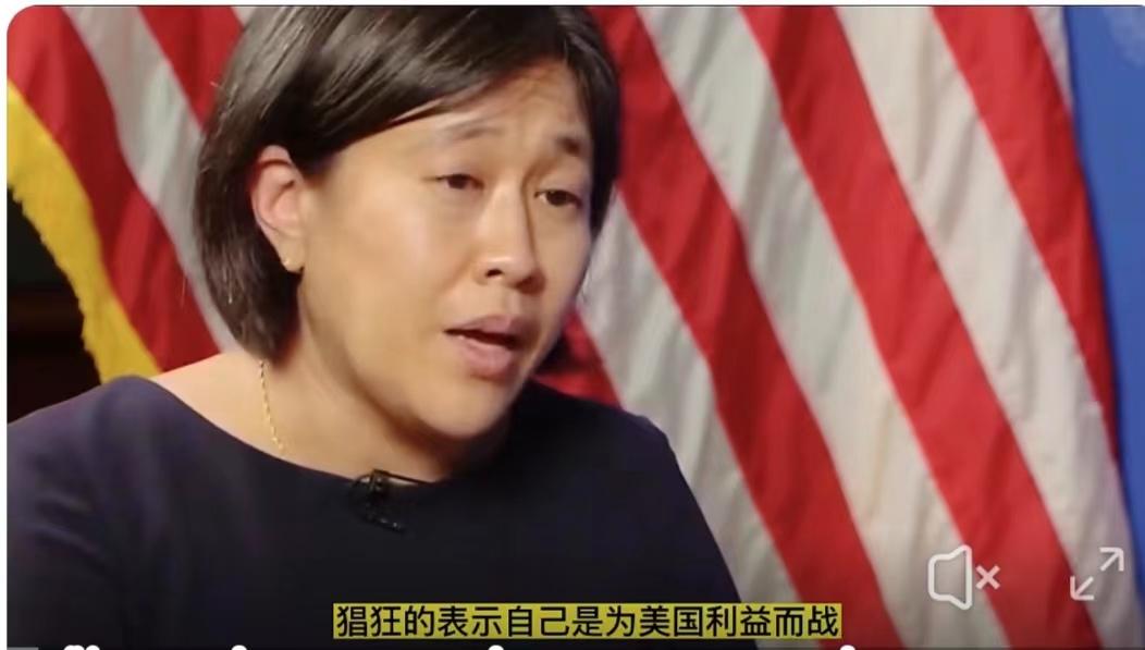 “我最大的荣耀就是能够代表美国来起诉中国”。

这就是美裔华人戴琪在2012年一