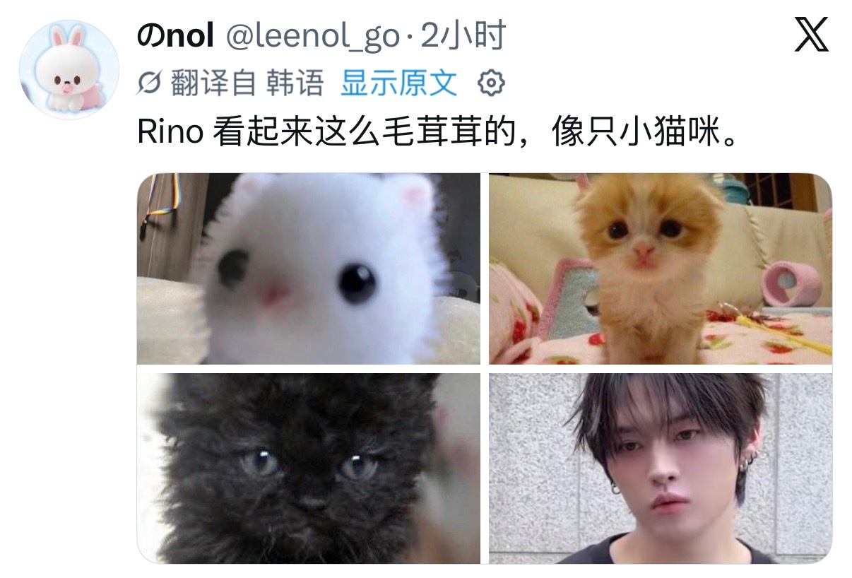 如果欺负一只猪能让你开心的话，那么请排便！ 