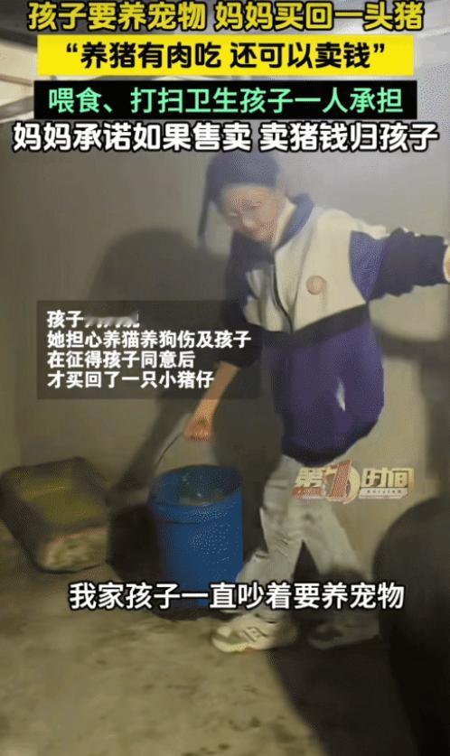 “太有经济头脑了！”贵州平塘，孩子要养宠物，没想到，妈妈买回一头猪让孩子养，妈妈