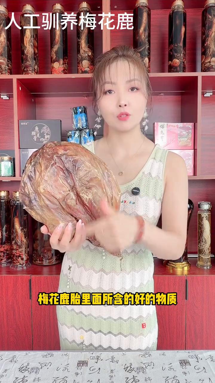 人工驯养梅花鹿。
为什么说一胎难求？梅花鹿胎和其他的鹿胎又有什么区别？为什么价格