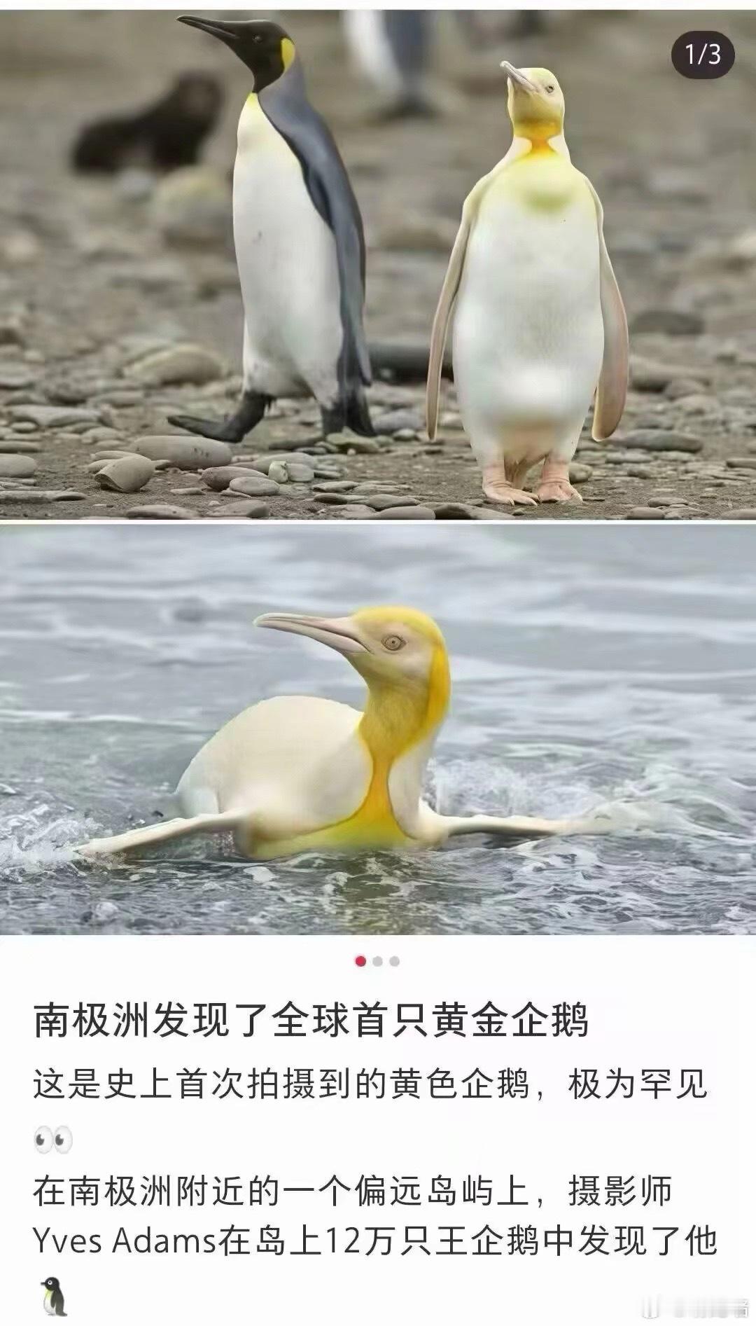 QQ超级会员 