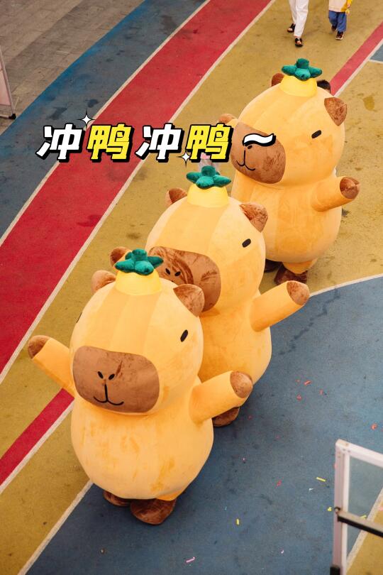 福州宝妈冲啊！这有奔跑的卡皮巴拉！！！