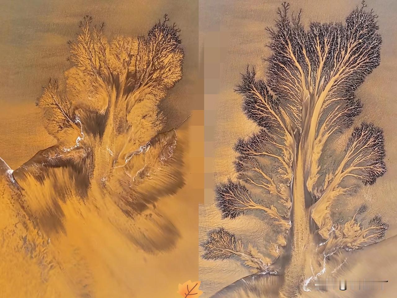 “解释不清了！”浙江，一男子用无人机拍钱塘江退潮，没想到无人机刚起飞，就拍到了罕